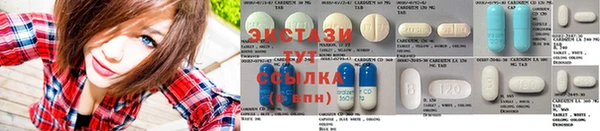 трава Гатчина