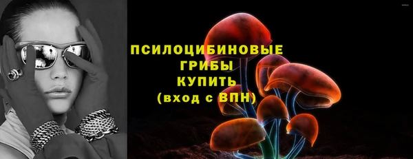 Альфа ПВП Богданович