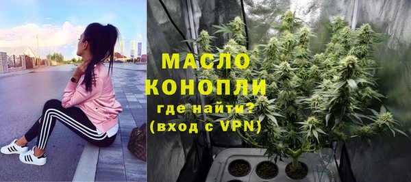 твердый Дмитриев