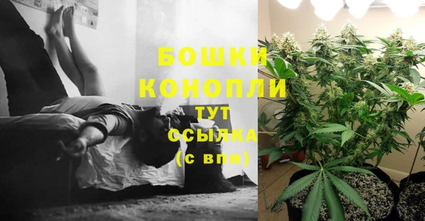 эйфоретик Козельск