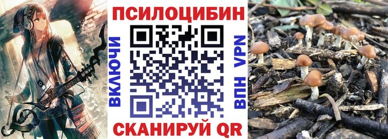 Галлюциногенные грибы Psilocybe Вуктыл